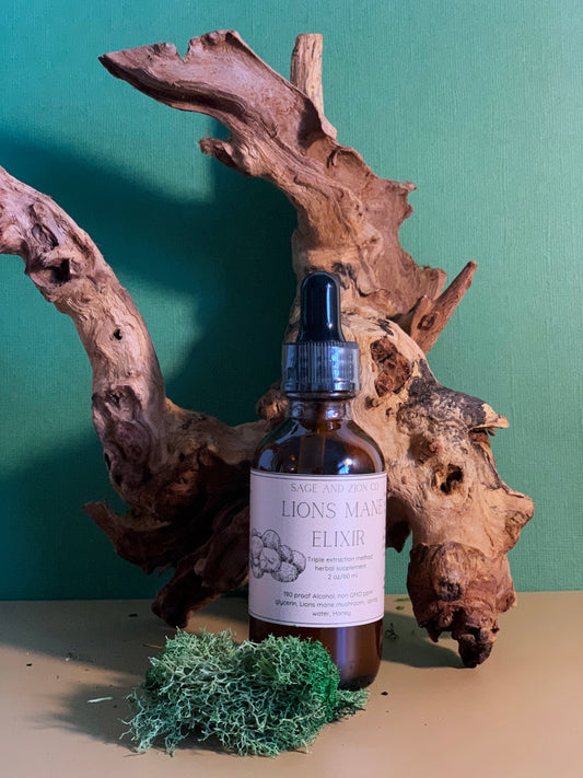 Lion's Mane Tincture